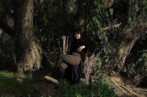 Sarah Davachi launches label, Late Music, with new Cantus, Descant LP