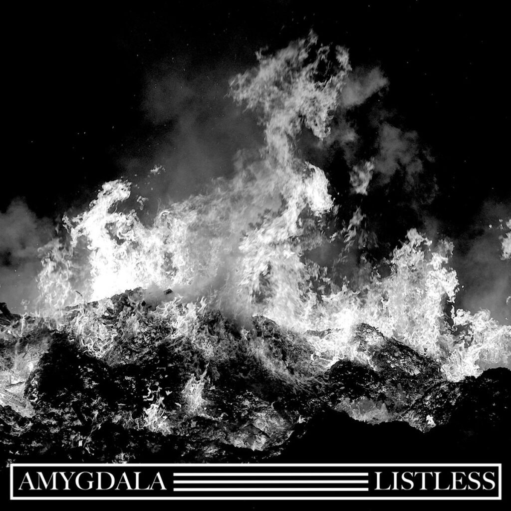 Amygdala – “A Kind Of Death In Life”Amygdala – “A Kind Of Death In Life”