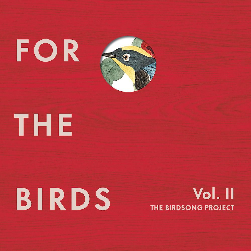 Hear New Birdsong-Inspired Songs From Elvis Costello, Flaming Lips, Jeff Tweedy, & More On For The Birds Vol. IIHear New Birdsong-Inspired Songs From Elvis Costello, Flaming Lips, Jeff Tweedy, & More On For The Birds Vol. II