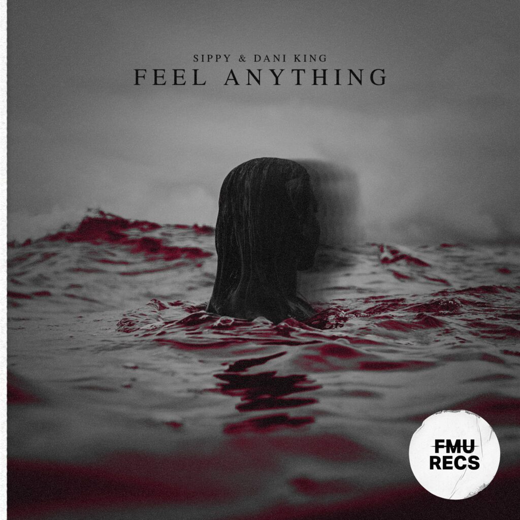 SIPPY & Dani King team up for minimal, dark, and melodic new collab, “Feel Anything”