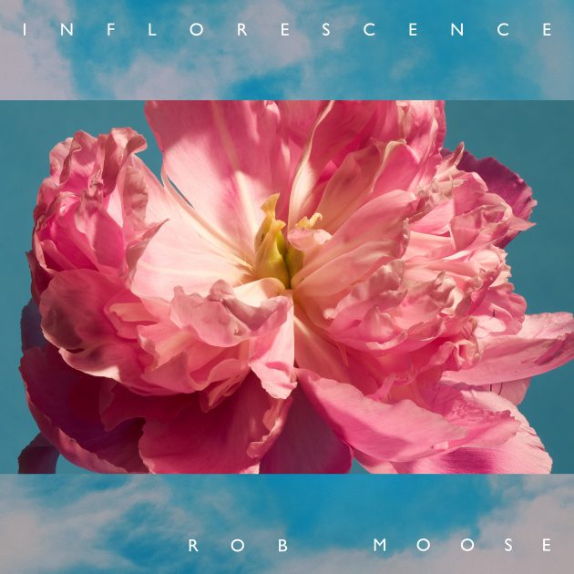 Rob Moose Announces Inflorescence EP Feat. Phoebe Bridgers, Bon Iver, Brittany Howard, & More