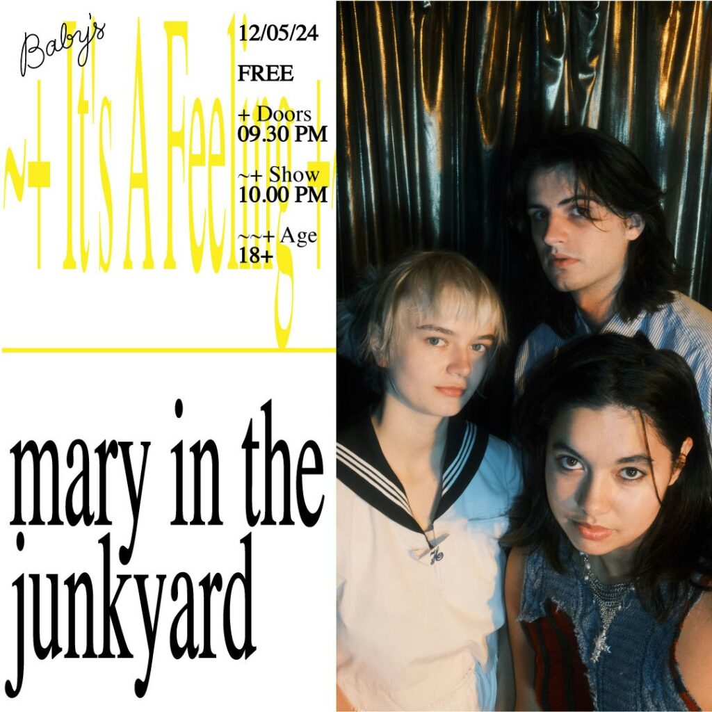 mary in the junkyard babys