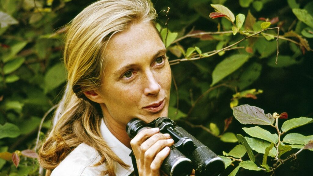 Jane Goodall, Trailblazing Primatologist and Environmental Activist, Dead at 91