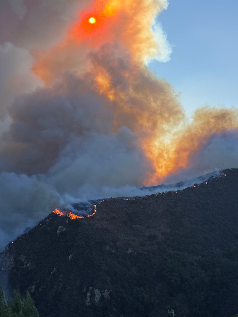 In Ash and Twisted Metal, Finding the Courage to Rebuild