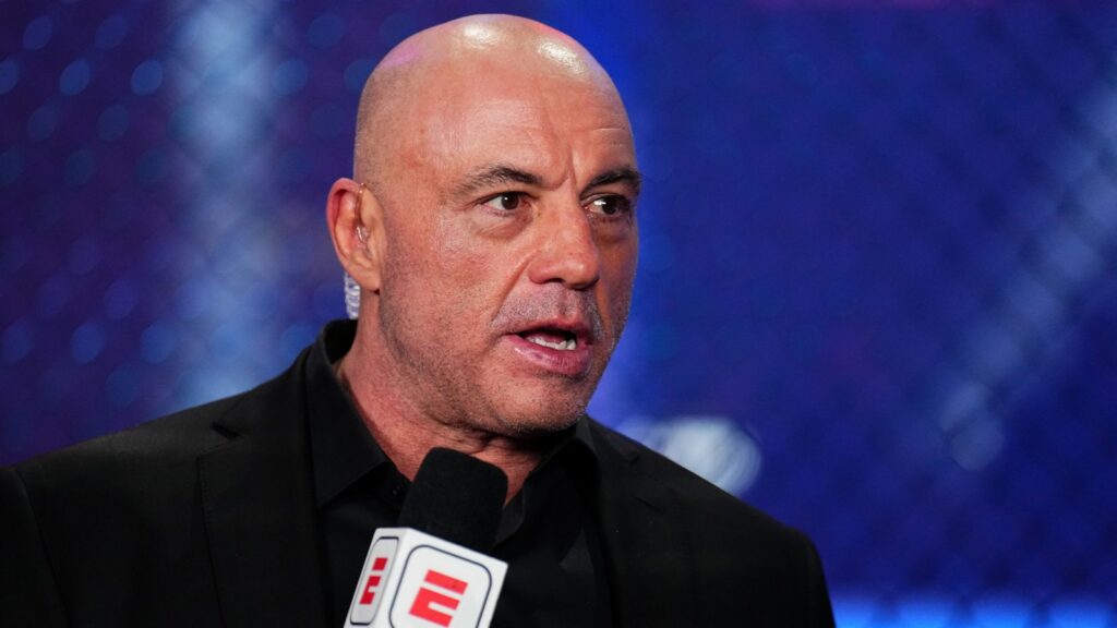 Joe Rogan Says He Refused to Meet With Jeffrey Epstein