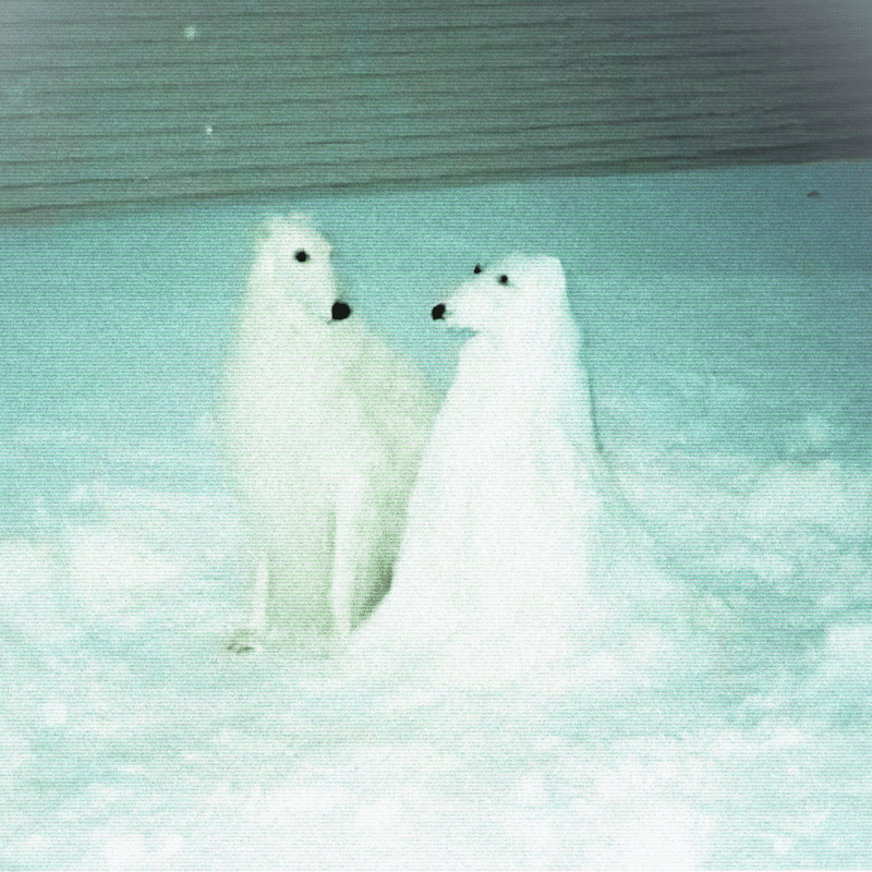 Logidhl Delivers a Hauntingly Polished Debut with “When Day Breaks”